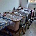 U Pasjanu kod Gnjilana tokom vikenda rođeno sedam beba