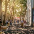 Balkanska i Davidova postaju nova gradska promenada: Centar Niša dobija umetnički i kreativni kvart