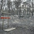 Veliki šumski požar u blizini Pariza, dve osobe uhapšene zbog sumnje da su ga podmetnule
