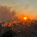 Veliki Požar u rasadniku u novom sadu: Oglasili se iz JKP Zelenilo: Na terenu veliki broj vatrogasaca i cisterni, svi radnici…