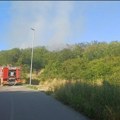 Gori šuma iznad Mirijeva