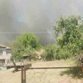 Gori borova šuma iznad Sekicola, preko puta Caričinog grada