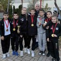 Šest medalja za niške džudiste u Skoplju