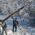Problem seče stabala na privatnim posedima: Pad drveća zbog snežnih oluja izazvao nestanak struje i sudske sporove