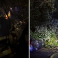 (Video) Pucalo drveće u Novom Sadu: Oštećeni automobili, intervenisali vatrogasci