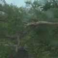 Tragedija na Filipinima: Najmanje 15 mrtvih u klizištima, tajfun Bavi preti Aziji (video)