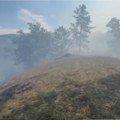 Novi požar u Magliču, gori borova šuma