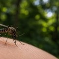 Virus Zapadnog Nila sve bliže: Zaraza potvrđena i u Srbiji, raste broj slučajeva širom Evrope