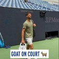 Ju-Es open: GOAT je na terenu