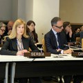 Državna sekretarka Jovanović u Njujorku na događaju o energetskoj otpornosti i zelenoj obnovi Ukrajine