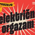 Otvaranje Leta u muzeju: Koncert Električnog Orgazma