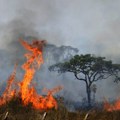 Dramatični podaci o „plućima planete“: U Brazilu izgorelo područje veće od Belorusije