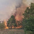 Požar se u Čekminu ponovo rasplamsao, širi se i prema susednim selima