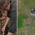 Ova grdosija je najveća zmija ikada izmerena u divljini: Veoma je opasna, može da zgnječi i uguši čoveka (video)