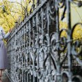 Jeftinije i skuplje kovane ograde