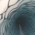 Otkriven život u potpunom mraku Antarktika: Pogledajte šta je kamera zabeležila 180 metara ispod leda (video)