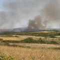 Gori iznad Umke: Požar se rasplamsao, vetar pomaže širenju vatre, vatrogasci stigli na lice mesta
