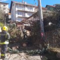 U Novom Sadu vetar oborio stablo na auto-put, nevreme u Beogradu, Užicu i Čačku