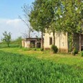 Seosko imanje daju za siću! Uz kuću idu ogromno poljoprivredno, ali i građevinsko zemljište, a dvorište je mali raj