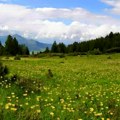 Nedelja u Srbiji: Kiša u centralnim krajevima, sunčano u Nišu