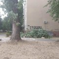 Nevreme oborilo drvo u Novom Sadu: Povređeni žena i dete