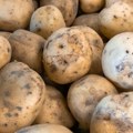 Proizvođači krompira u Srbiji traže carinsku zaštitu od uvoza