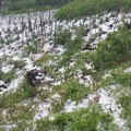 Град величине ораха направио огромну штету у Косјерићу
