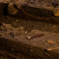 U Beogradu pronađeni ostaci rimskog vodovoda, grobovi i sarkofazi