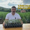 BIRN: RasKonop - Jovanjica 2.0 ili poljoprivreda budućnosti?