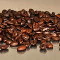 Cene kafe arabika pale na najniži nivo u poslednjih mesec dana