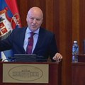 Potpredsednik stranke Srbija centar (SRCE) Mihailo Brkić izjavio je danas da je moguće da tragom nov