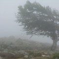 Haos zbog olujnog vetra Obara stabla kod Bajine Bašte i na Tari