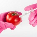 Gradski Sekretarijat nije sastavljao listu GMO proizvoda: Društvenim mrežama kruže lažne informacije