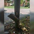 Stubovi bez poklopaca, odgovorni bez imena: Ko sabotira rasvetu u Boru?
