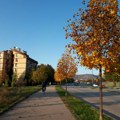 GO Medijana daje sredstva stambenim zajednicama za uređenje zelenih površina i mobilijara
