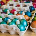 Prehrambeni tehnolog otkriva da li su farbana jaja bezbedna za jelo i zašto se pojedini otruju