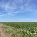 Pretežno sunčano, temperatura do 27 stepeni