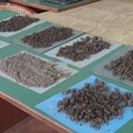 Više đubriva ne znači i veći prinos: Šta pokazuje analiza zemljišta u Šumadiji