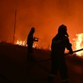 Veliki požar kod plaže Oficirac u Novom Sadu: Gust dim vidljiv iz više delova grada, vatrogasci na terenu