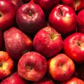 Urod jabuke ove godine oko 65.000 tona, no tržište narušeno uvozom