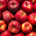Srpske jabuke sve prisutnije na tržištima Indije i Bliskog istoka
