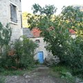 Iz grada otišao pusto selo bez struje: Postao jedini stanovnik i otvorio kafanicu, ljudi čekaju red da tamo jedu