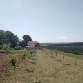 Sanja prodaje vikendicu i plac za 25.000 evra! Nalazi se na obali reke: Idealna je za porodicu
