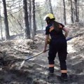 Veliki požar na Pajovskoj planini, sve raspoložive vatrogasne ekipe na terenu