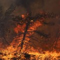 Grčka: Uhapšeno 79 osoba zbog sumnji da su podmetnuli požare