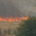 Poljoprivreda i životna sredina: Zašto ne treba paliti strnjiku i kakve posledice ostavlja po prirodu i čoveka