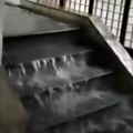 Poplava u Humskoj (video)