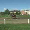 10 minuta: Za sve koji žele da nauče da jašu