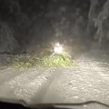 Drveća padaju pod težinom snega! Ruska zima već pravi haos u Srbiji, u ovim mestima je baš napadalo: Pogledajte zimske scene -…