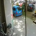 Velika grana pala na ženu dok je sedela na klupi ispred zgrade